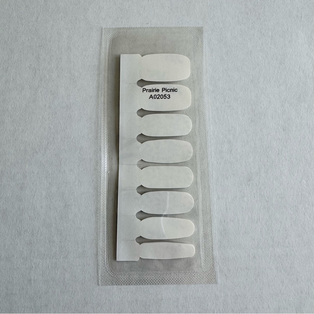 *Exclusive* Color Street Prairie Picnic | Floral Leaf Blue Clear Overlay Fall - Picture 6 of 10